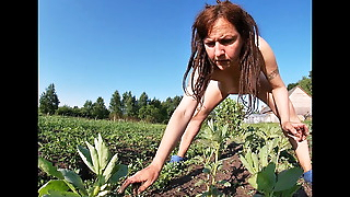 Farmer's Wife Masturbates in the Field