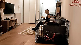 Maitresse Julia - Latex Femdom - My Virgin Puppy Slave Gets his Ass Fucked - Strapon - Pegging - Cum Humiliation
