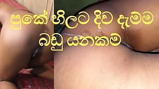 eating Anal Sinhala Pleasure from the tongue -ass licking