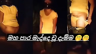 Sri lankan aunty outdoor pissing video