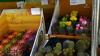 slut bought a new cactus and masurbates with it on the stairs