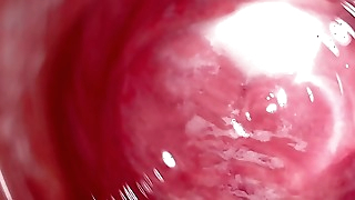 Internal Camera deep inside Mia's creamy pussy, Welcome to my vagina