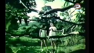 Darna and the Giants (1973)